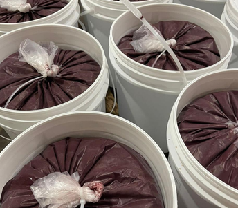 Açaí Pulp.png