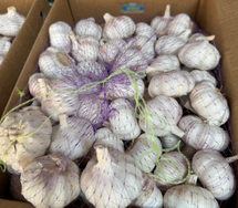 Fresh Garlic.png